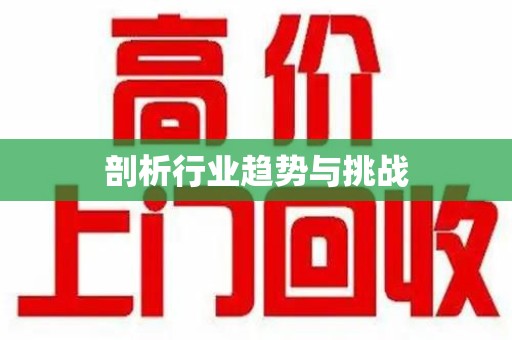 全国剖析行业趋势与挑战