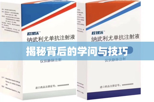 全国揭秘背后的学问与技巧