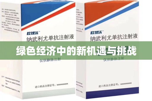 全国绿色经济中的新机遇与挑战