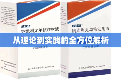 全国从理论到实践的全方位解析